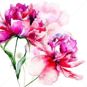 peonypainting1
