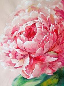 peonypainting4