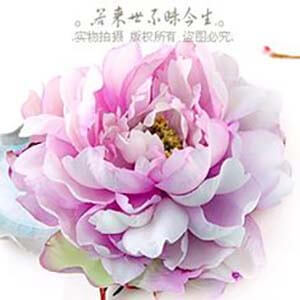 peonypainting9
