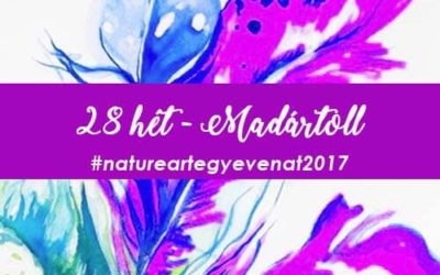 2017 28 hét TOLLAK-natureart egy éven át