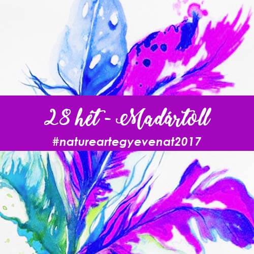 2017 28 hét TOLLAK-natureart egy éven át