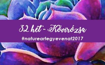 2017 32 hét KÖVIRÓZSA-natureart egy éven át