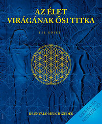 mandala élet virága