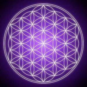 mandala élet virága