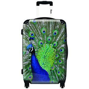 pavabag3
