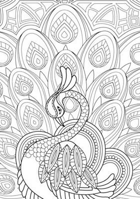 pavacoloring4