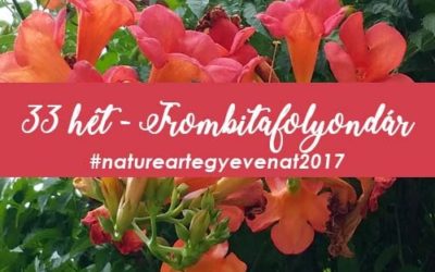 2017 33 hét TROMBITA FOLYONDÁR-natureart egy éven át