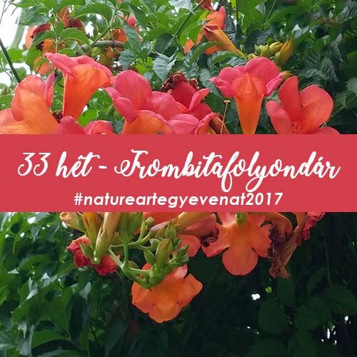 2017 33 hét TROMBITA FOLYONDÁR-natureart egy éven át