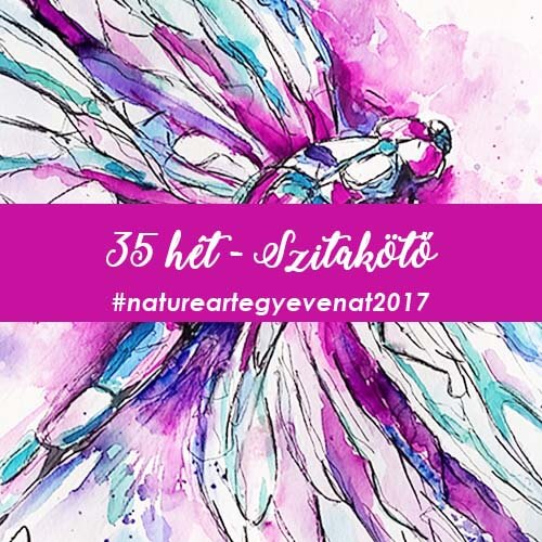 2017 35 hét SZITAKÖTŐ-natureart egy éven át
