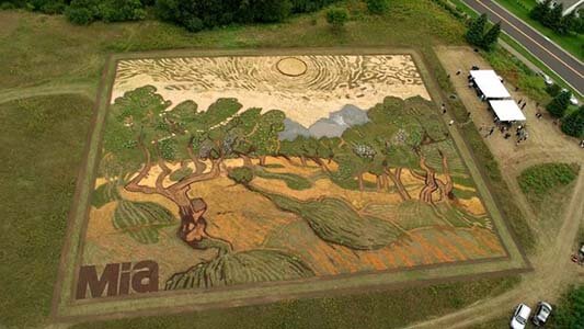 van gogh