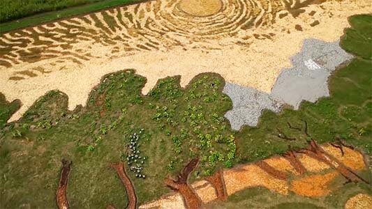 van gogh