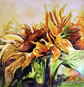 sunflower