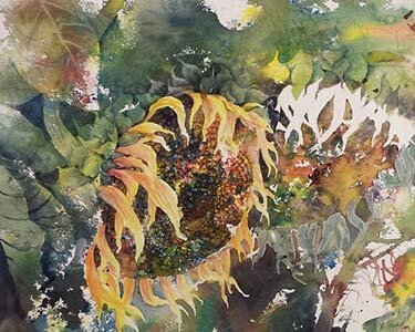 sunflower32