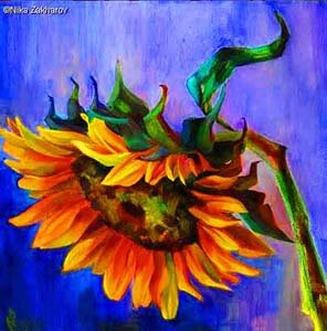 sunflower