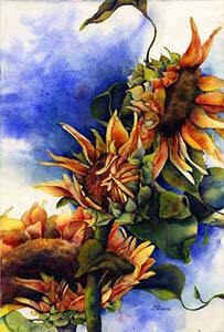 sunflower