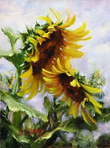 sunflower