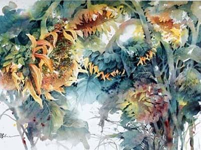sunflower