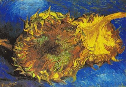 van gogh