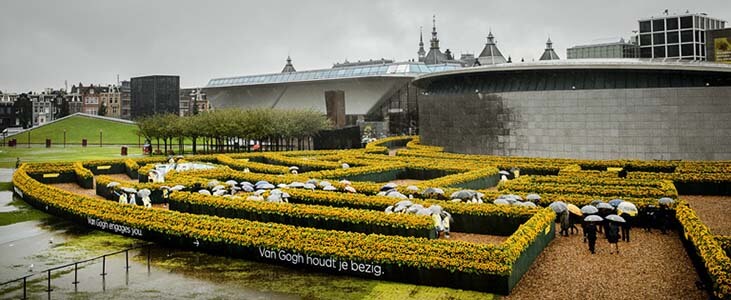 van gogh