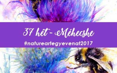 2017 37 hét MÉH-natureart egy éven át