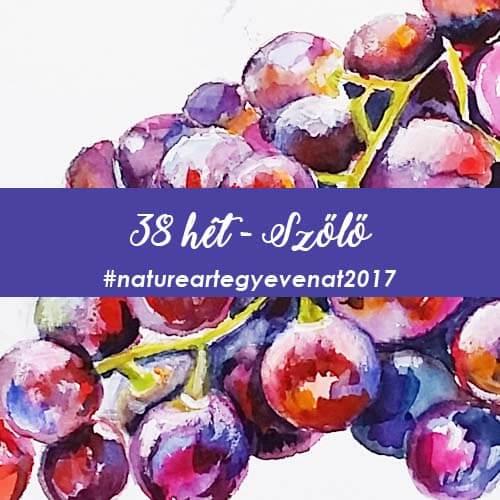 2017 38 hét SZŐLŐ-natureart egy éven át