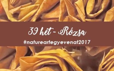 2017 39 hét RÓZSA-natureart egy éven át