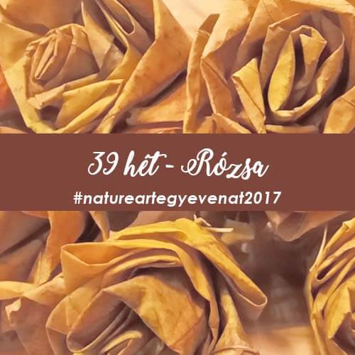 2017 39 hét RÓZSA-natureart egy éven át