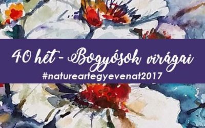 2017 40 hét BOGYÓK-natureart egy éven át