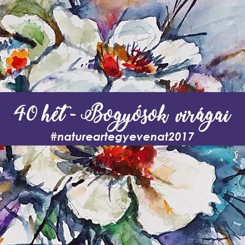 2017 40 hét BOGYÓK-natureart egy éven át