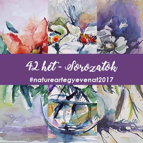 2017 42 hét SOROZATOK-natureart egy éven át