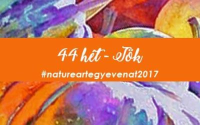 2017 44 hét TÖK-natureart egy éven át