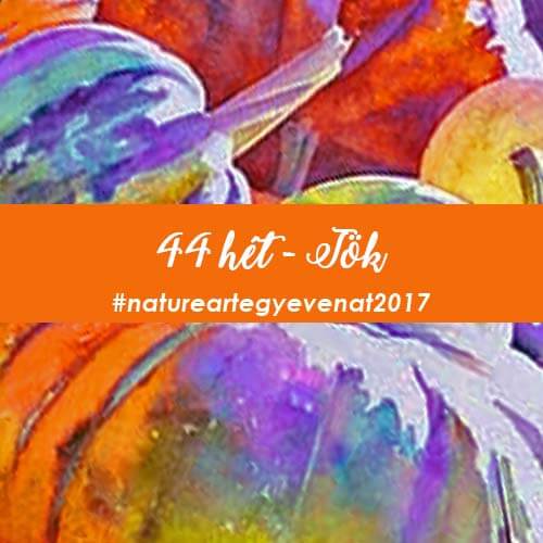 2017 44 hét TÖK-natureart egy éven át