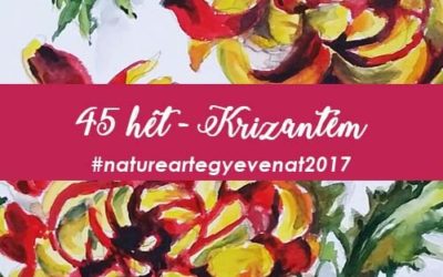 2017 45 hét KRIZANTÉM-natureart egy éven át
