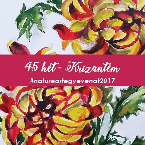 2017 45 hét KRIZANTÉM-natureart egy éven át