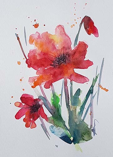 019291 poppies 500s