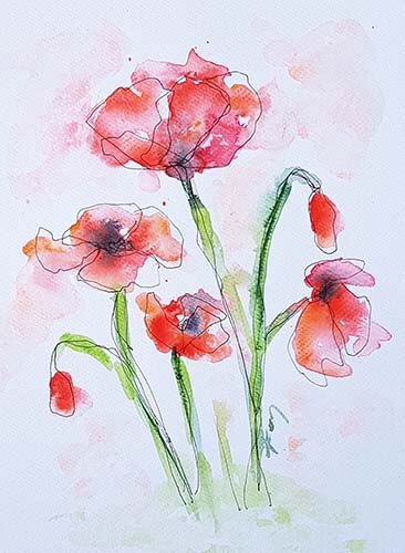 019292 poppies 500 s