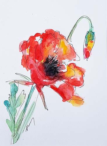 019293 poppies 500s