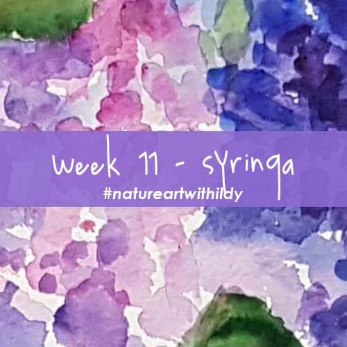 NATUREART SPRING week 11 SYRINGA