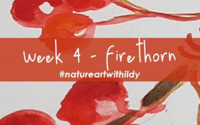 NATUREART WINTER week4