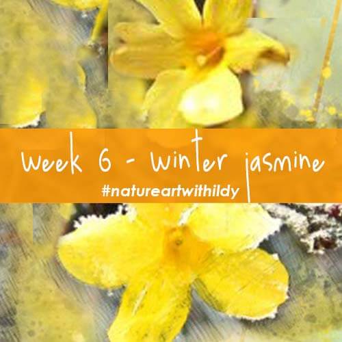 NATUREART WINTER week6