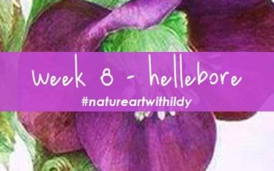 NATUREART WINTER week8