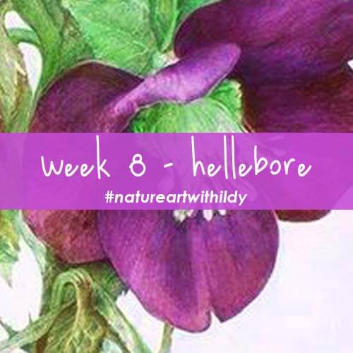 NATUREART WINTER week8