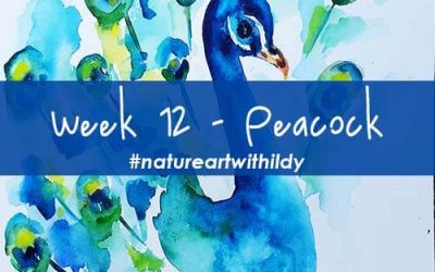 NATUREART SUMMER week 12 Peacock