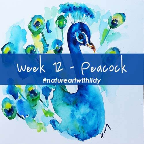 NATUREART SUMMER week 12 Peacock