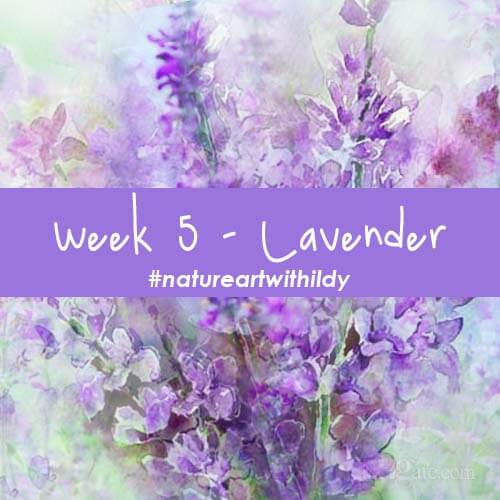 NATUREART SUMMER week 5 LAVENDER