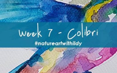 NATUREART SUMMER week 7 COLIBRI