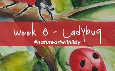 NATUREART SUMMER week 8 LADYBUG