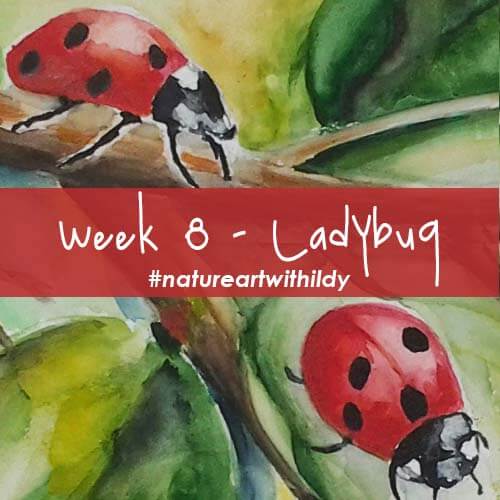 NATUREART SUMMER week 8 LADYBUG
