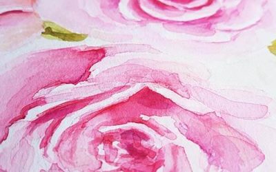 ROSES – has a new sweet home
