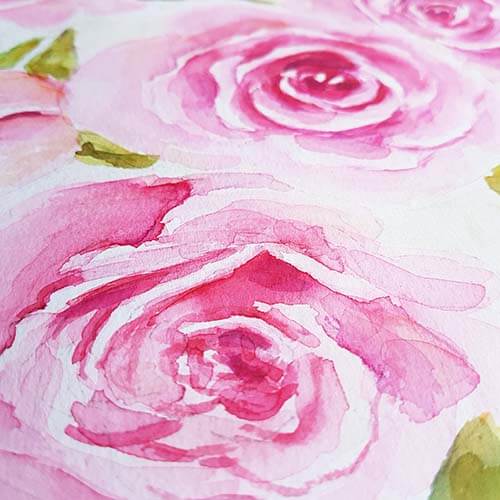 ROSES – has a new sweet home